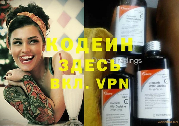 мяу мяу кристалл Корсаков