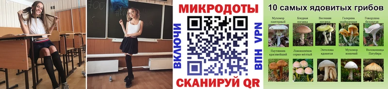 Псилоцибиновые грибы GOLDEN TEACHER  Купить закладки  Белгород 